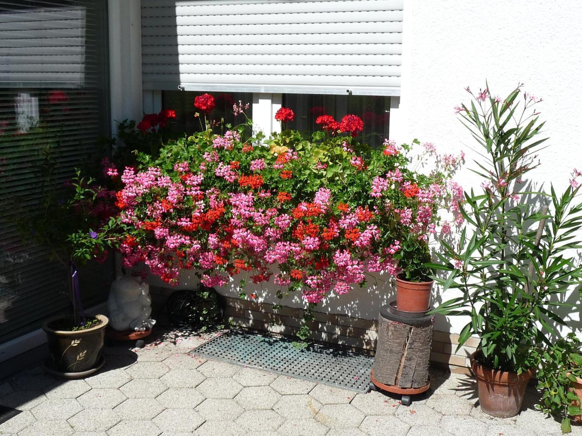 Graceful Apartment In Velmede With Garden ベストヴィヒ エクステリア 写真